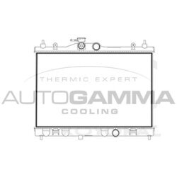 Chladič motora AUTOGAMMA 107175