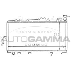 Chladič motora AUTOGAMMA 100629