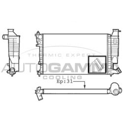 Chladič motora AUTOGAMMA 101311