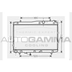 Chladič motora AUTOGAMMA 104594