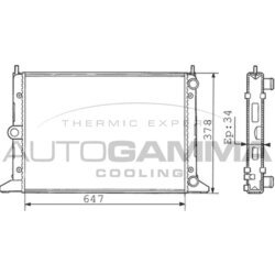Chladič motora AUTOGAMMA 100360