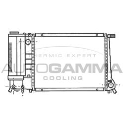 Chladič motora AUTOGAMMA 101121