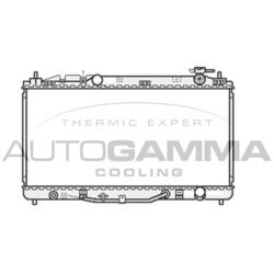 Chladič motora AUTOGAMMA 107061