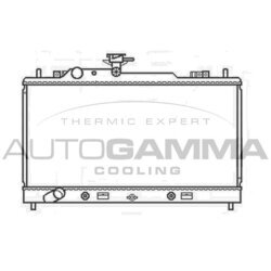 Chladič motora AUTOGAMMA 107427