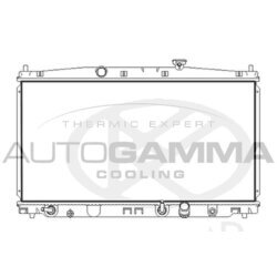 Chladič motora AUTOGAMMA 107723