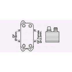 Chladič oleja automatickej prevodovky AVA QUALITY COOLING MS3686