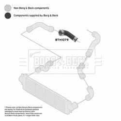 Hadica plniaceho vzduchu BORG & BECK BTH1079 - obr. 1