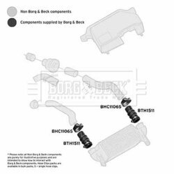 Hadica plniaceho vzduchu BORG & BECK BTH1511 - obr. 1