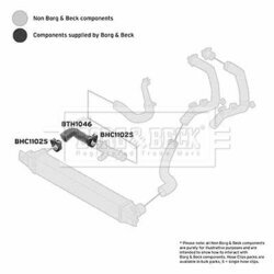 Hadica plniaceho vzduchu BORG & BECK BTH1046 - obr. 1