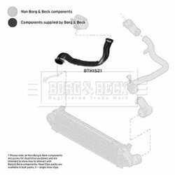 Hadica plniaceho vzduchu BORG & BECK BTH1521 - obr. 1