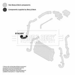 Hadica plniaceho vzduchu BORG & BECK BTH1384 - obr. 1