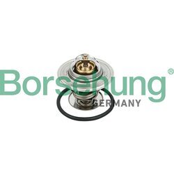 Termostat chladenia Borsehung B18281