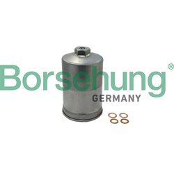 Palivový filter Borsehung B19091