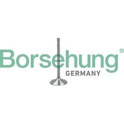 Nasávací ventil Borsehung B19017