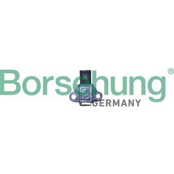Senzor tlaku paliva Borsehung B11886