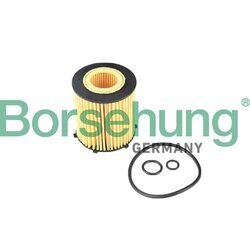 Olejový filter Borsehung B12405