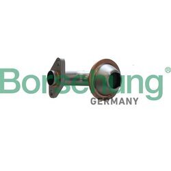Filter/sitko trubky olejového čerpadla Borsehung B12308