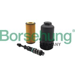 Olejový filter Borsehung B10435