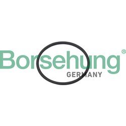 Tesnenie, uzatvárací kryt vačkového hriadeľa Borsehung B10637