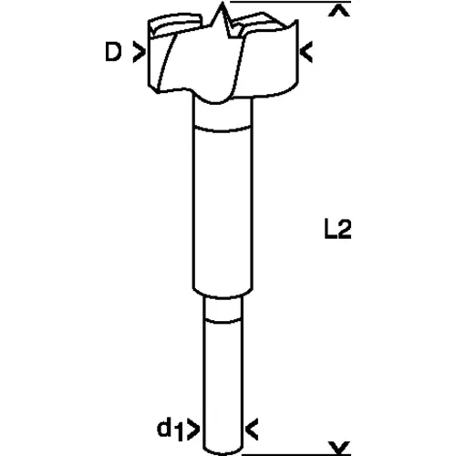 BOSCH Forstnerov vrták, DIN 7483 G (5)