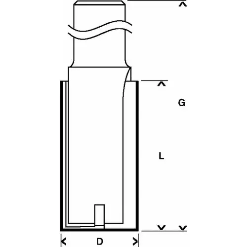 BOSCH Drážkovacia fréza Expert for Wood, karbid, 8 mm, d1 = 8 mm, l = 31,8 mm, g = 70 mm (8)