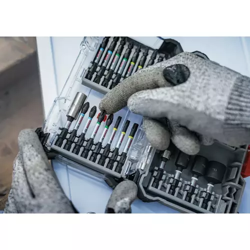 BOSCH Bit PRO Torx Impact, T25, 25 mm, 2 ks (9)