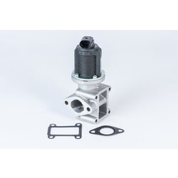 EGR ventil BTS Turbo A100005