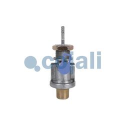 Viaccestný ventil COJALI 2215208 - obr. 1