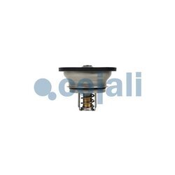 Termostat chladenia COJALI 2880274 - obr. 2