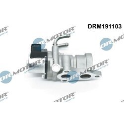 EGR ventil Dr.Motor Automotive DRM191103 - obr. 1