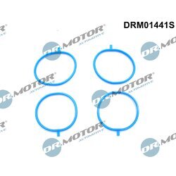 Sada tesnení kolena nasávacieho potrubia Dr.Motor Automotive DRM01441S