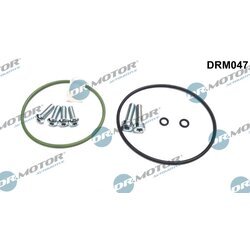 Opravná sada podtlakového čerpadla (brzdy) Dr.Motor Automotive DRM047