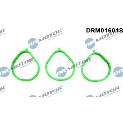 Sada tesnení kolena nasávacieho potrubia Dr.Motor Automotive DRM01601S