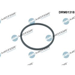 Tesnenie obalu olejového filtra Dr.Motor Automotive DRM01318