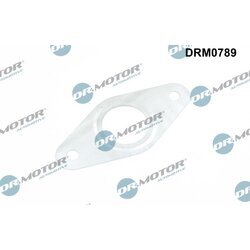 Tesnenie, Vedenie EGR ventilu Dr.Motor Automotive DRM0789