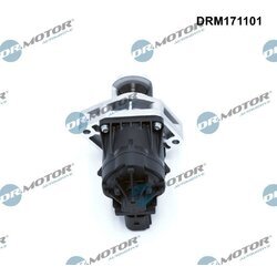 EGR ventil Dr.Motor Automotive DRM171101 - obr. 1