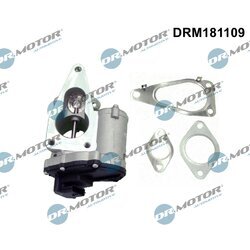 EGR ventil Dr.Motor Automotive DRM181109