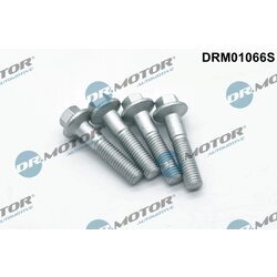 Skrutka, držiak vstrekovacej trysky Dr.Motor Automotive DRM01066S