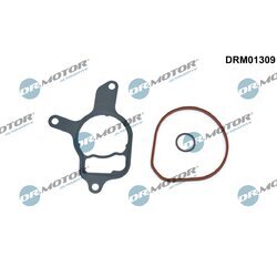 Sada tesnení, podtlaková pumpa Dr.Motor Automotive DRM01309