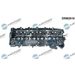 Kryt hlavy valcov Dr.Motor Automotive DRM2918