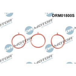 Sada tesnení kolena nasávacieho potrubia Dr.Motor Automotive DRM01800S