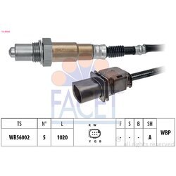 Lambda sonda FACET 10.8488