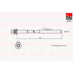 Sada skrutiek hlavy valcov FAI AutoParts B1060