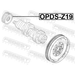 Remenica kľukového hriadeľa FEBEST OPDS-Z19 - obr. 1