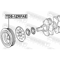 Remenica kľukového hriadeľa FEBEST TDS-1ZRFAE - obr. 1