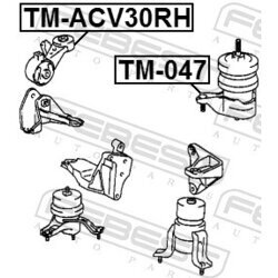 Uloženie motora FEBEST TM-ACV30RH - obr. 1