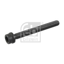 Skrutka hlavy valcov FEBI BILSTEIN 22030