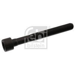 Skrutka hlavy valcov FEBI BILSTEIN 07978