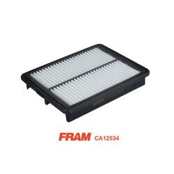 Vzduchový filter FRAM CA12534