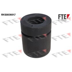 Piest brzdového strmeňa FTE RKS8636017